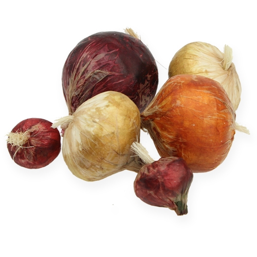 Floristik24 Cibuľa veľká &amp; malá umelá 14ks.