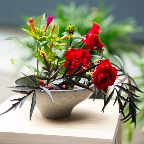 Dekoratívna misa s podstavcom, okrúhla misa na rastliny, sivá, Ø19 cm, V8 cm