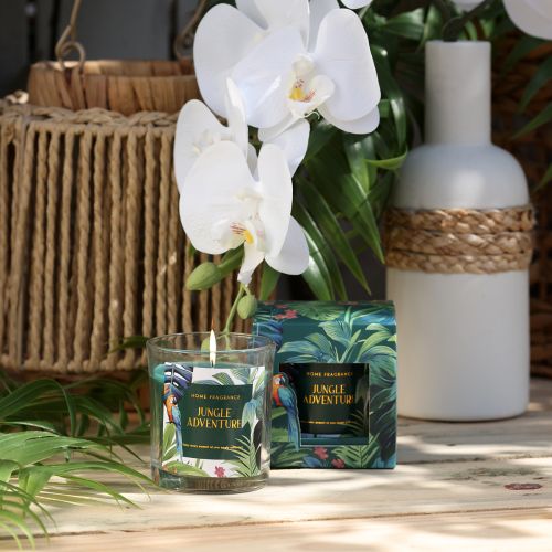 Floristik24 Vonná sviečka v sklenenej nádobe Uhorkovo-eukalyptová sviečka Zelená Ø7cm