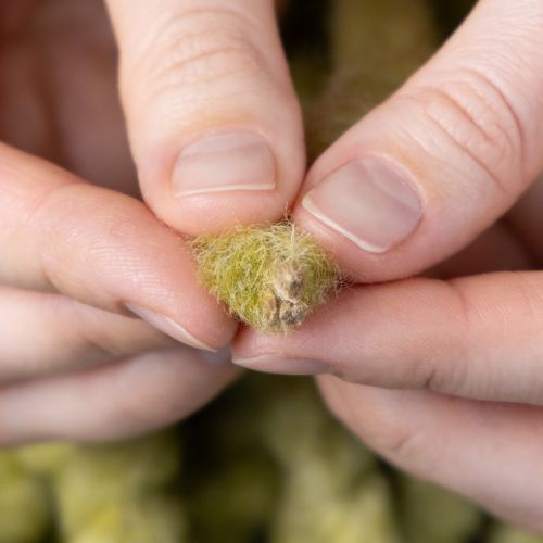 položky Nadýchaná vlnená plstená šnúra Mirabell, zelená, 25 m, ozdobná stuha na kvetinárstvo, dekorácie, remeslá, DIY