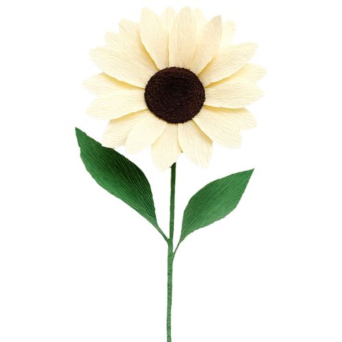 položky Krepový papier na kvetinárstvo, šampanské 50x250cm