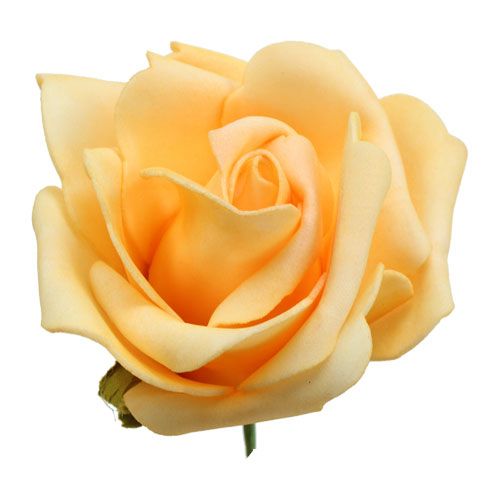 položky Penová ruža Ø 8cm marhuľová 18str