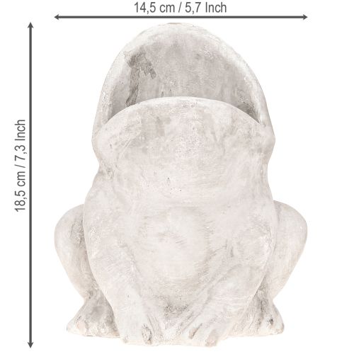 položky Žaba dekoračný kvetináč kvetináč betón sivý V18,5cm