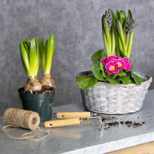 položky Pletený košík ako štýlová kvetinová dekorácia do obývačky. Veľkonočný košík, 23 cm, 6 kusov.