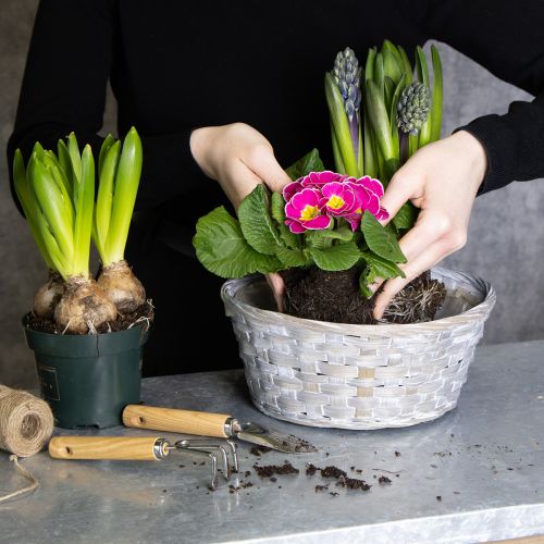 položky Pletený košík ako štýlová kvetinová dekorácia do obývačky. Veľkonočný košík, 23 cm, 6 kusov.