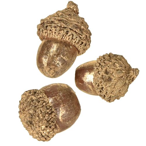 Floristik24 Zlaté jesenné plody, slávnostné jesenné dekorácie, prírodné dekoratívne žalude, adventná dekorácia Ø1,5 – 2,5 cm D1,5 – 3 cm 300 g