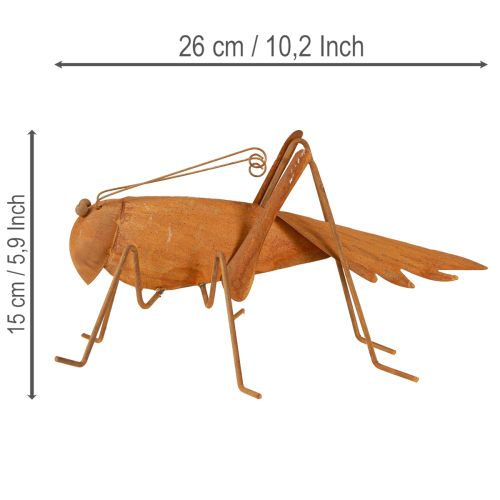 položky Záhradná dekorácia kobylka, hrdzavý kov, voľne stojaca dekorácia, 26 cm