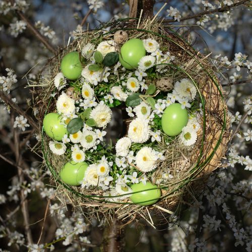 položky Slepačie vajcia 5,5 cm - 7 cm zelené 10 ks