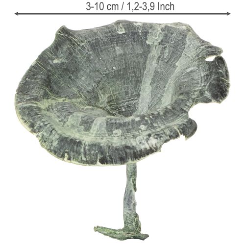 položky Kalix huby zelené, biele 100 ks