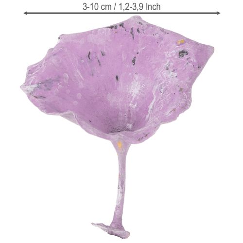 položky Huby Kalix fialové, biele 100 ks