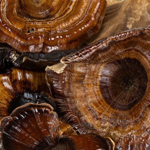 položky Huby Kalix prírodné lakované 100 ks