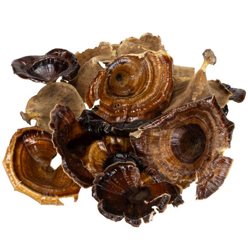 položky Huby Kalix prírodné lakované 100 ks