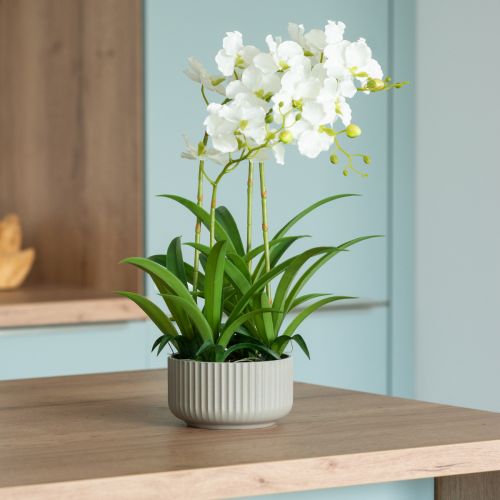 Umelé orchidey umelé kvety v kvetináči biela 60cm