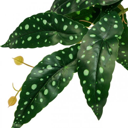 položky Umelá begónia Umelá rastlina zelená, tmavozelená 42×28cm