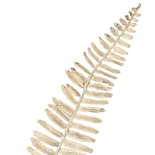 položky Umelé rastliny papraď rozvetvené biele krémové, dĺžka 120 cm