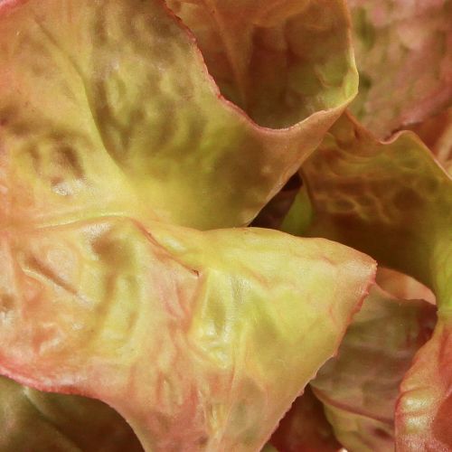 položky Umelý šalát Lollo Rosso ozdobná hlávka šalátu Ø20cm