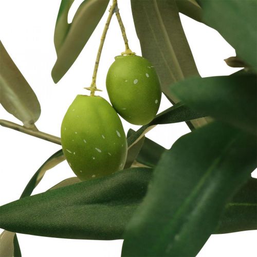 položky Umelý olivovník v črepníku Umelá rastlina Oliva V63,5cm