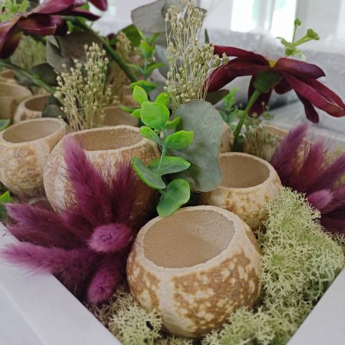 položky Tekvicová dekorácia Bell Cup Pumpkin Cup bielená 50 ks