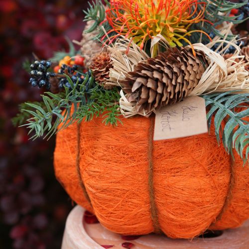 položky Tekvicový kvetináč oranžovo-žltozelený zo sisalu Ø15cm V9cm