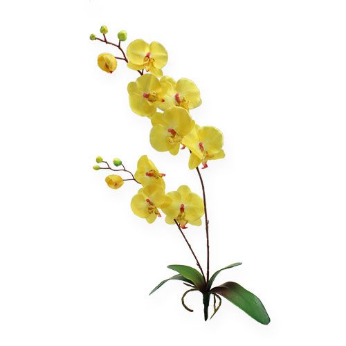Floristik24 Umelá orchidea žltá 68cm