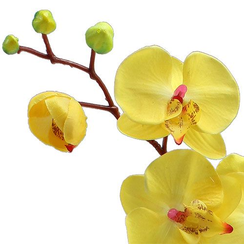 položky Umelá orchidea žltá 68cm