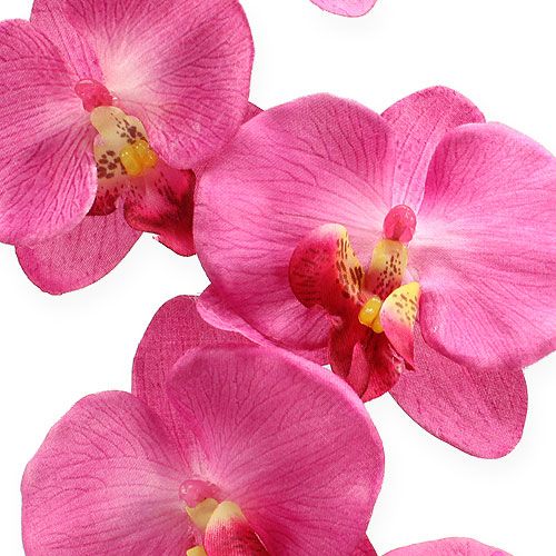 položky Umelá orchidea s listami ružová 68cm