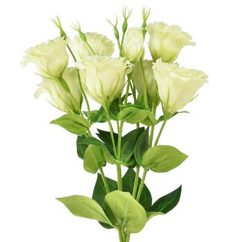 položky Umelé kvety Eustoma Lisianthus žltozelená 52cm 5 ks