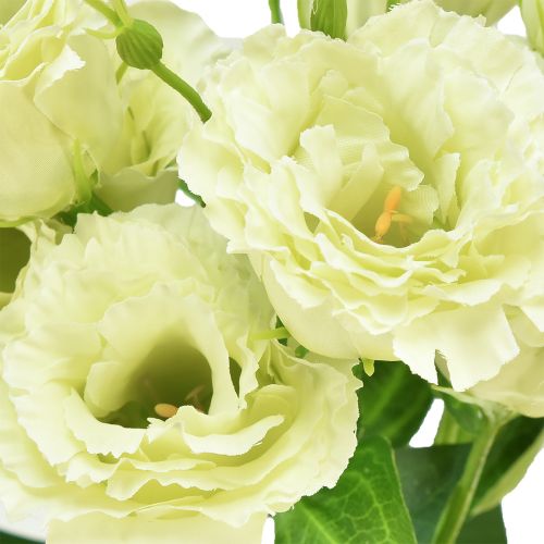 položky Umelé kvety Eustoma Lisianthus žltozelená 52cm 5 ks