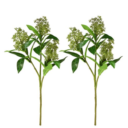 položky Umelé kvety zelené Skimmia japonica Skimmie 45cm 2ks