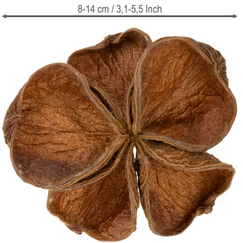 položky Landlotus Nature 50 ks