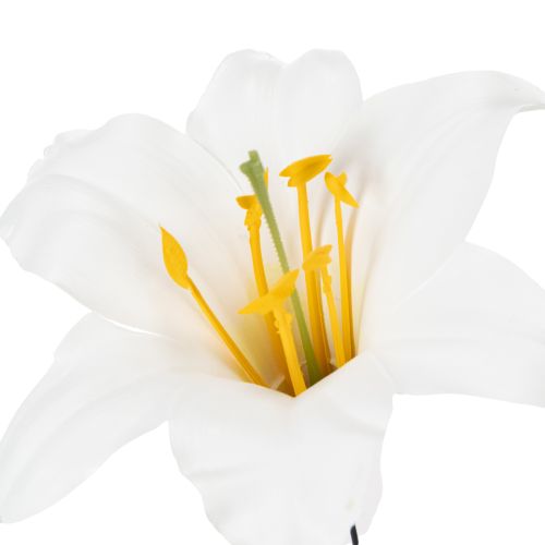 položky Ľalia na drôte, stredná, 25 kusov