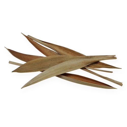 Kokosová škrupina mini natural 0,5 kg