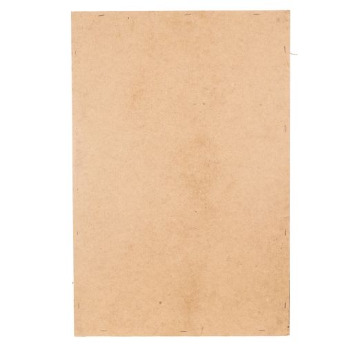 položky Obraz machu, pravý konzervovaný mach a vetvičky, prírodný, 60×40 cm