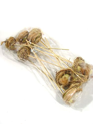 Floristik24 Vtáčie hniezdo s vajíčkami na paličke 6cm 6ks