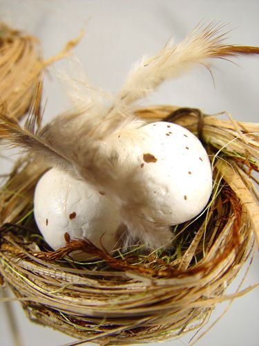 Floristik24 Vtáčie hniezdo s vajíčkami na paličke 6cm 6ks