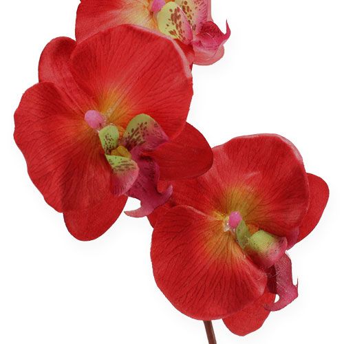 položky Deco orchidea červená 68cm