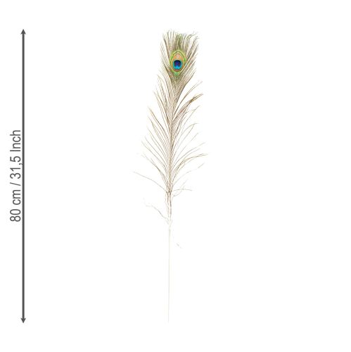 položky Dekorácia z pávieho peria, pravé vtáčie perie, dlhé 75-85 cm, 8 kusov
