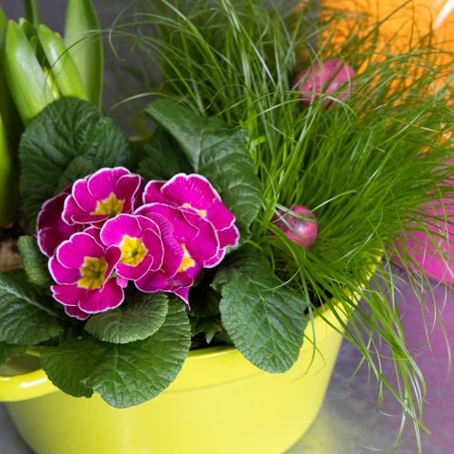 položky Plechový kvetináč, jarná dekorácia do obývačky, 25 cm, 3 kusy