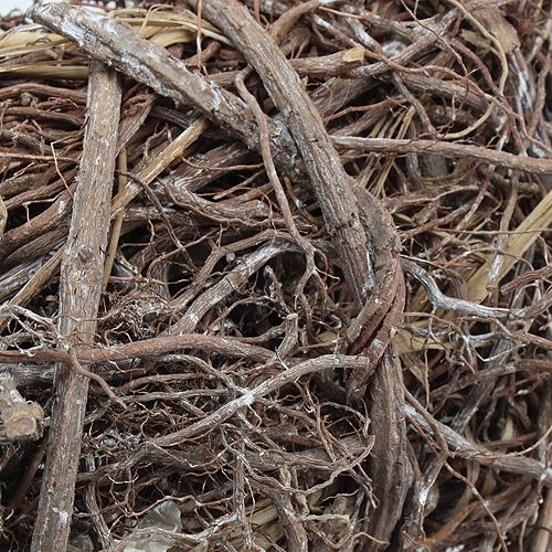 Floristik24 Viničový veniec Ø 40cm