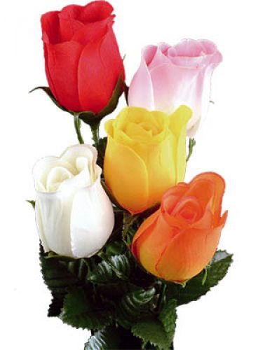 Floristik24 Ružová farba 72 ks