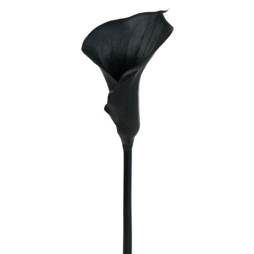 Floristik24 Deco Calla Black 75 cm