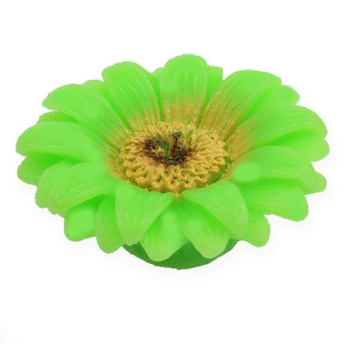 Plávajúca sviečka Gerbera Green Ø7,5cm