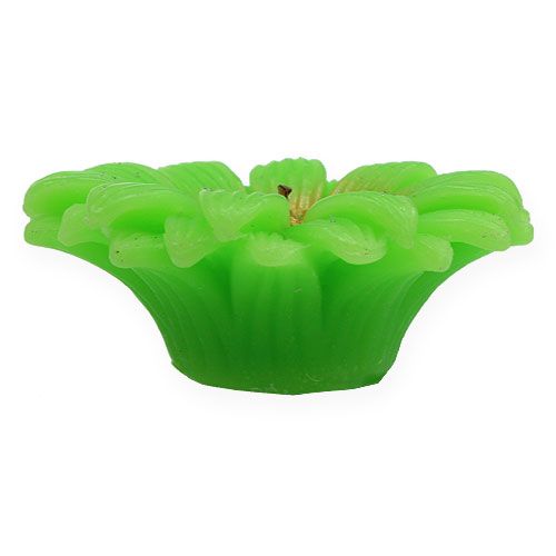 Floristik24 Plávajúca sviečka Gerbera Green Ø7,5cm