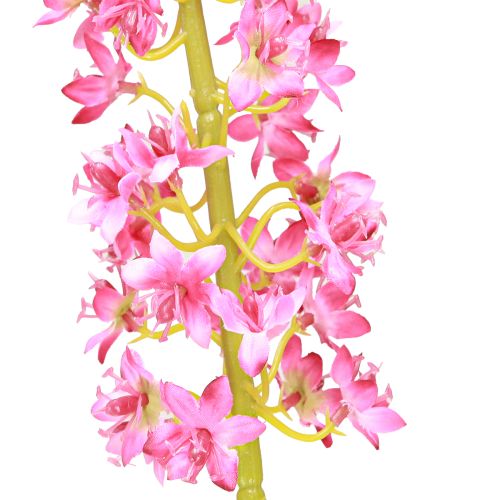 položky Stepová sviečka Desert Tail Pink 106cm