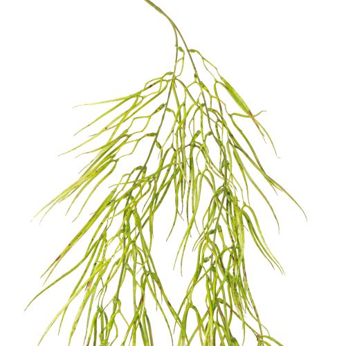 Sukulentná visiaca zelená 145cm