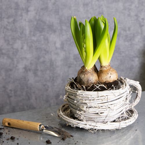 položky Šálka na čaj z prírodného materiálu s rustikálnym šarmom pre exkluzívnu interiérovú dekoráciu 13 cm