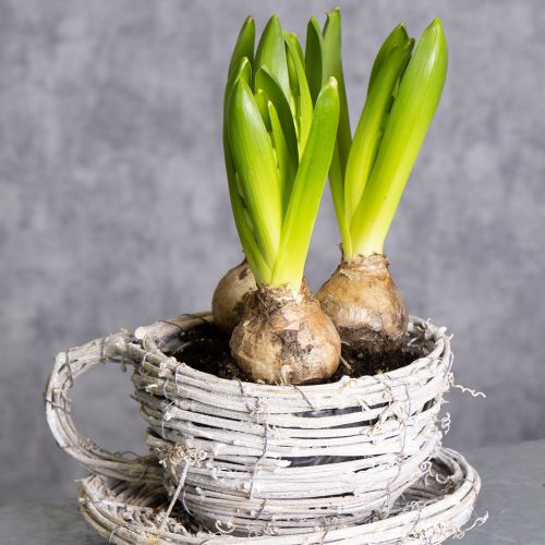 položky Šálka na čaj z prírodného materiálu s rustikálnym šarmom pre exkluzívnu interiérovú dekoráciu 13 cm