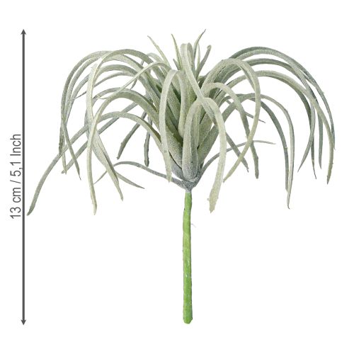 položky Tillandsia sukulentné umelé zelené rastliny 13cm