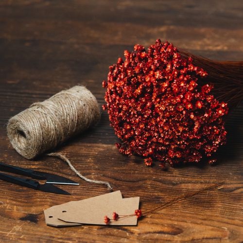 položky Kytica sušených kvetov, pôvabný doplnok do váz alebo aranžmánov, 44 cm