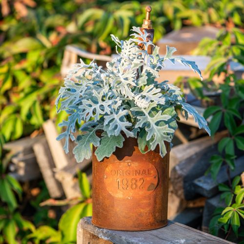 Floristik24 Kvetináč patina dekoračný kov s kohútikom V25/37/43cm sada 3 ks